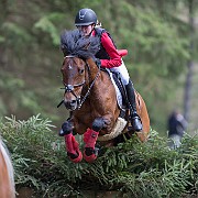 jagt i tisvilde hegn